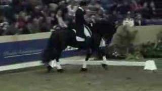 Friesian stallion Jasper 366 Dressage [upl. by Aihsoem]