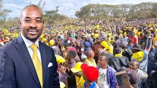 Watch Nelson ChamisaMutare roars hanzi ngaapinde hake mukomana ngaapindehakemukomana [upl. by Leaffar]