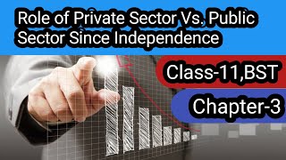 Class11 BST ch3 Role of private sector vs public sector since independence explained in Hindi [upl. by Hacim]