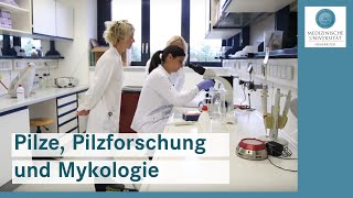 Pilze Pilzforschung und Mykologie an der Medizinischen Universität Innsbruck [upl. by Carli]