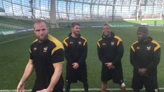 Wasps Get Battered In Ireland  GoPro [upl. by Kapeed784]