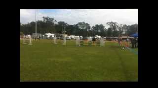 Isle Be Your Captain amp Amber Scriven  90cm Caboolture Show [upl. by Oralee841]