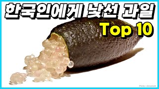 대부분의 한국인들이 접하기 힘든 생소한 과일 Top 10 [upl. by Yrome568]