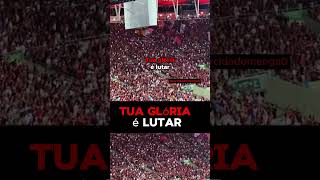 Torcida do Flamengo cantando Tua glória é lutar shorts torcidadoflamengo flamengo [upl. by Anigal]