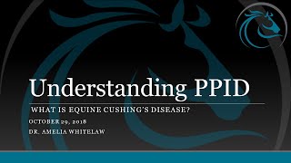 Understanding PPID What is Equine Cushings Disease [upl. by Nissy440]