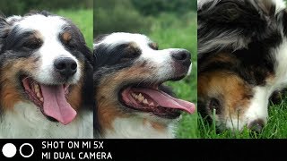 Xiaomi Mi5X Camera Review How does the Mi 5X camera perform [upl. by Lander]