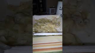 Eating Michelinas Fettuccine Alfredo With Chicken amp Broccoli Dbn MI 10124 [upl. by Joses]