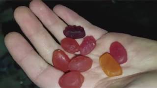 Welchs Fruit Snacks Review [upl. by Gaylene364]