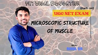 Microscopic structure of muscle fiber by Rahul sir  Muscular system  Physiology  PE UGC NET JRF [upl. by Hgielanna]