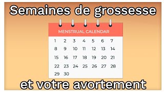 Les semaines de grossesse gestation et vos options davortement  Ami explique lavortement [upl. by Edroi]