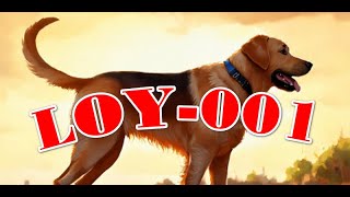 LOY 001 that extend dogs lifespans by at least a YEAR show signs of effectiveness [upl. by Ettecul]