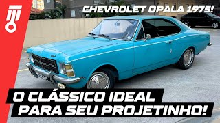 Chevrolet Opala 1975  O clássico BOM E BARATO para você ter na garagem opala chevroletopala [upl. by Ecirtac]