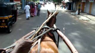 Tonga Ride in Mysore [upl. by Adachi308]