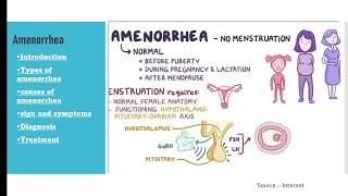 Amenorrhea  Fully explained   easy way  prasutitantra  Gynaecology  BAMS  Ayurveda [upl. by Oberon]