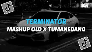 DJ TERMINATOR X MASHUP OLD X TUMANEDANG VIRAL TIKTOK [upl. by Saenihp56]