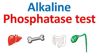 Alkaline phosphatase ALP test and its significance [upl. by Arannahs]