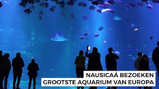 Nausicaá Aquarium in BoulognesurMer bezoeken [upl. by Drofiar]