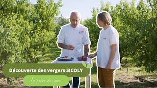 Immersion dans nos vergers  La pêche de vigne [upl. by Nedloh]