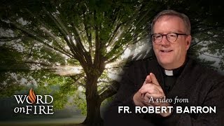 Bishop Barron on The Genealogy of Jesus [upl. by Akkeber]