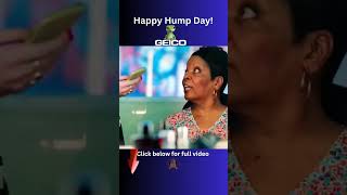 Happy Hump Day Wednesday The Best Funny Gieco Camel Commercials [upl. by Skolnik]