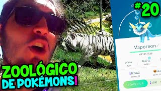 POKÉMON GO 20  CAPTURANDO POKÉMONS NUM ZOOLÓGICO [upl. by Holbrook]