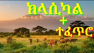 ክላሲካል Best ethiopian Instrumental Music Collections eritrea Classical Music non StopEthioTOPs [upl. by Howund]