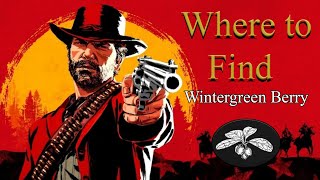 RDR2 Online  Wintergreen Berry locations [upl. by Ahsiki]