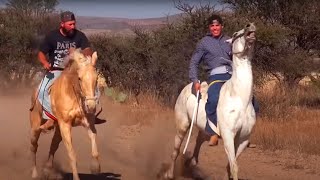 Carreras de Caballos Los Haro Jerez 2016 [upl. by Shrier]