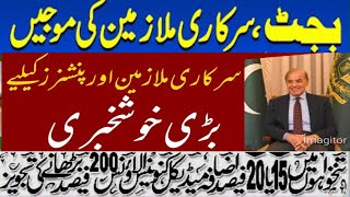 Salary Increase 15 to 20 Medical Allowance 200  News Budget 202425 [upl. by Niledam]