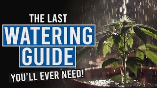 Thirsty Plants Learn the Secrets to Perfect Cannabis Watering [upl. by Bijan]