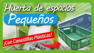 Cómo hacer una HUERTA CASERA en poco espacio usando CANASTAS PLÁSTICAS  PROYECTO CULTIVOS URBANOS [upl. by Riffle]