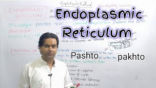 Endoplasmic Reticulum  Biology  Class 11  Dr Mushtaq Pashto Lectures [upl. by Nilac118]