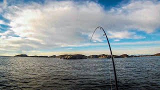 Kystmeite i Øygarden  Kveite Torsk Hyse  Fishing in Norway 2018 [upl. by Ahsiele]