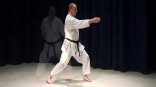 Shotokan Kihon 5 Basic Combinations Of Karate Shotokan Techniques [upl. by Benson]