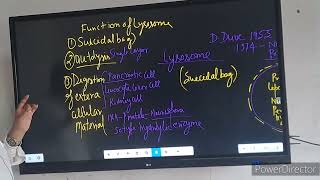 structure and function of lysosome [upl. by Dag]