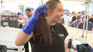 Fresh seafood for all at the Santa Barbara Harbor and Seafood Festival [upl. by Hamford275]