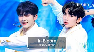 4K 제로베이스원 ZEROBASEONE  In Bloom l JTBC K909 230715 방송 [upl. by Retsam]