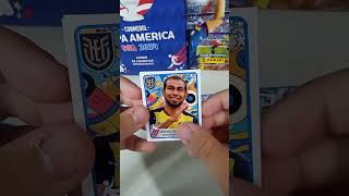 BUSCANDO JUGADORES ARGENTINOS EN LA NUEVA COLECCION NO OFICIAL DE LA COPA AMERICA 2024 🇦🇷 Figuritas [upl. by Salba483]