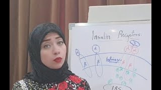 Hormone Biochemistry Session 7Insulin Receptors [upl. by Enifesoj]