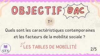 BAC Cours Mobilité Sociale  Les tables de mobilité [upl. by Nyla]