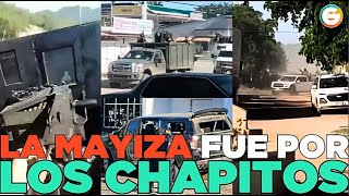 La Mayiza fue por Los Chapitos Culiacán Sinaloa [upl. by Eskill]