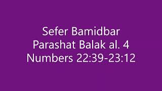 Torah Chanting  Sefer Bamidbar  Parashat Portion Balak al 4 [upl. by Elleynod]