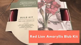 Red Lion Amaryllis Blub Kit Smith amp Hawken [upl. by Ellekcir]