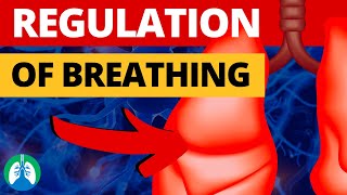 Diaphragmatic Breathing Demonstration from Michigan Medicine [upl. by Ahsinert]