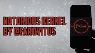 Notorious Kernel for Samsung Galaxy S8S8  The Best Kernel [upl. by Berghoff749]