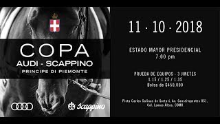 Copa Audi Scappino 2018 [upl. by Burkhard305]