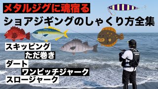 初心者必見！なんでも釣れるショアジギングのしゃくり方 [upl. by Syd]