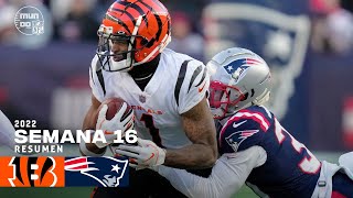 🔥DE LOCOS  Cincinnati Bengals vs New England Patriots  Semana 16 NFL 2022  Resumen Highlights [upl. by Ennahgiel]