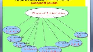 الاستاذ خالد الخطيب دورة الصوتيات درس 2 مكان نطق وحالة نطق الاصوات [upl. by Pansy]