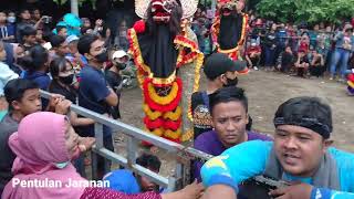 Vi1r4alL Barongan Ng4muk Pa4r4ah S4mpai Kena K3pal4 [upl. by Gelhar]